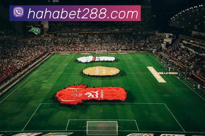 hahabet官网平台生态图